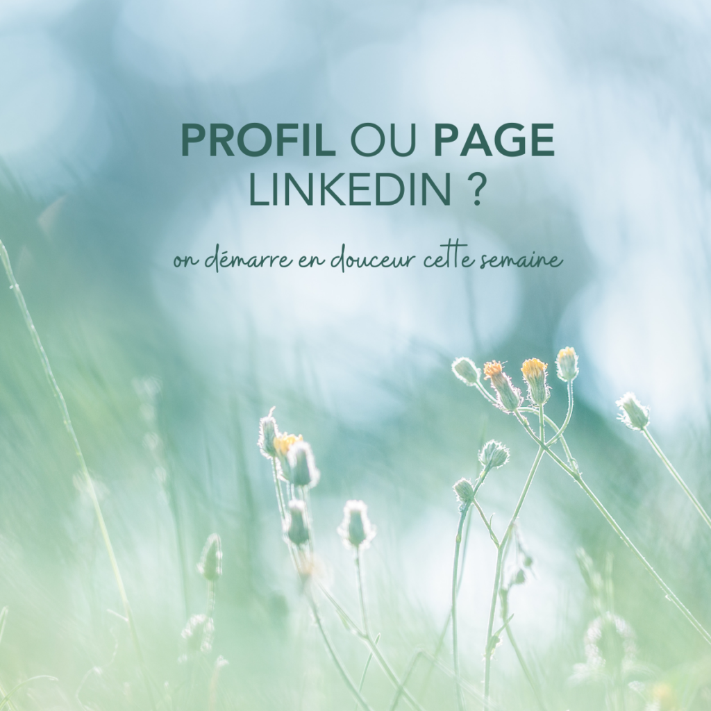 Profil ou page professionnelle sur LinkedIn  1024x1024 Profil ou page professionnelle sur linkedin ?
